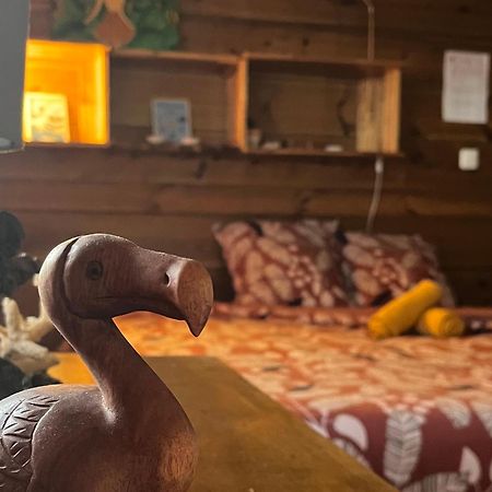 Dodo House Auberge De Jeunesse サン・ル エクステリア 写真