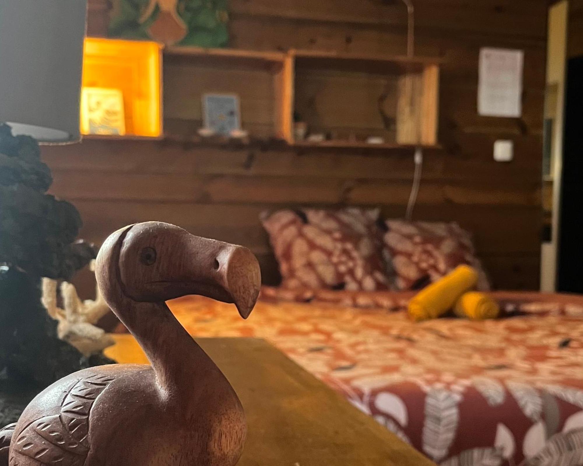 Dodo House Auberge De Jeunesse サン・ル エクステリア 写真